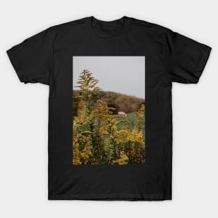 North Carolina mountains in the fall T-Shirt